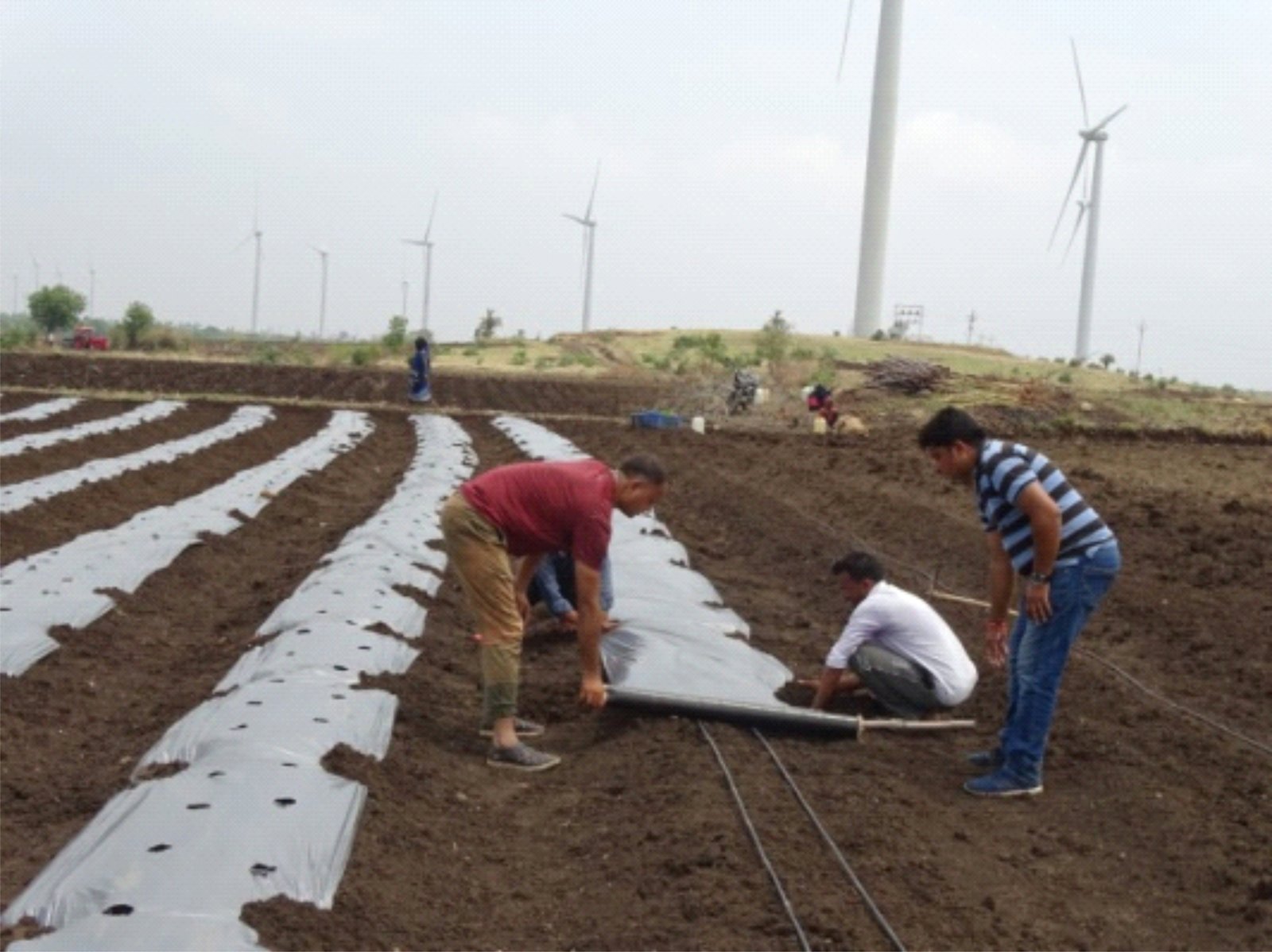 Eco-friendly practices